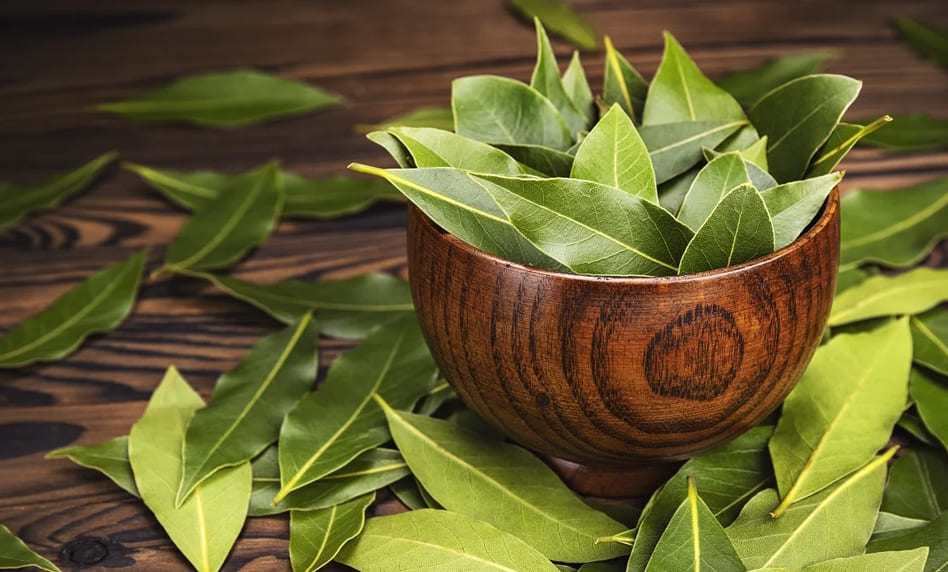 Bay Leaf